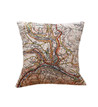 Map Cushion